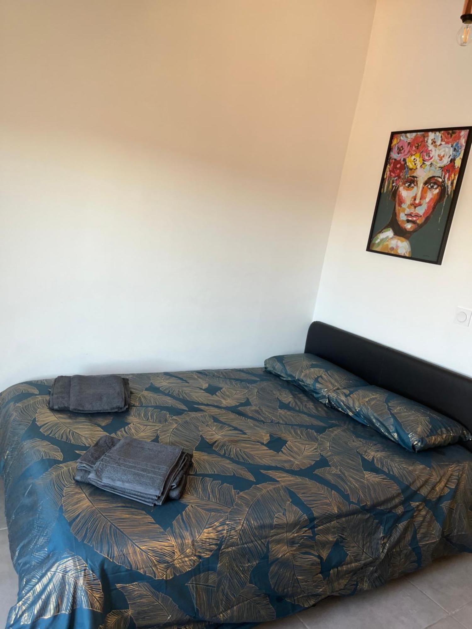 Charmant Appartement Climatise Quartier Las Cobas Perpignan Exterior photo